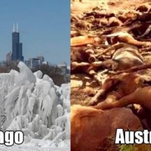Chicago se congela pero en Australia es el infierno