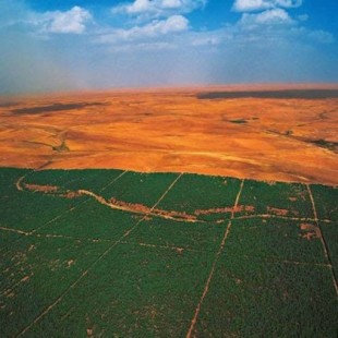 La gran muralla verde de África