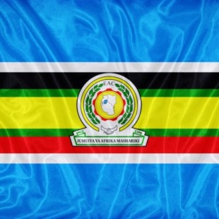 6 países han iniciado el proceso para su unión política en la Federación Africana Oriental