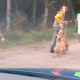 Un cazador dispara a activistas contra la caza del zorro en Castro de Rei (Lugo)