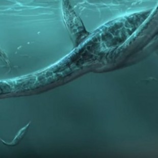 El hallazgo de los restos de un reptil marino entusiasma a los científicos 