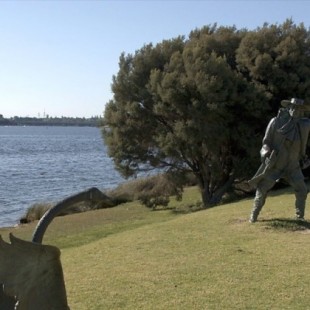 Cómo un navegante holandés del siglo XVII encontró cisnes negros en Australia