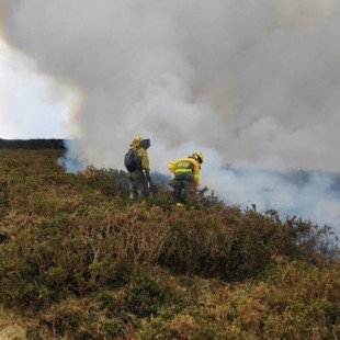 El 92% de los incendios forestales intencionados en Cantabria son provocados por “pastores y ganaderos”