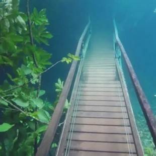EL hermoso fenómeno natural que da la oportunidad de recorrer un bosque bajo el agua