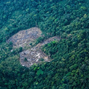 Colombia: miles de hectáreas de parques nacionales están siendo quemadas en la Amazonía