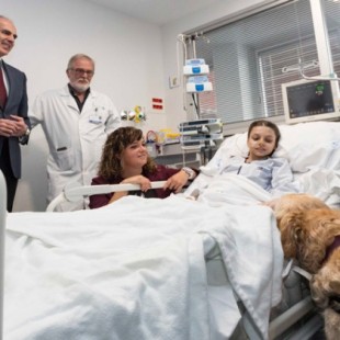 El Hospital 12 de Octubre pionero en aliviar el dolor de los niños ingresados usando terapia con perros
