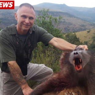 Cazador comido vivo por leones después de matar a tres familias de babuinos. [ENG]