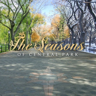 Este inteligente Timelapse combina las estaciones en Central Park en un solo fotograma [ ing ]