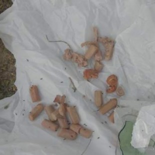 Identificado el sospechoso de dejar salchichas con alfileres y cristales para dañar a los perros en un parque