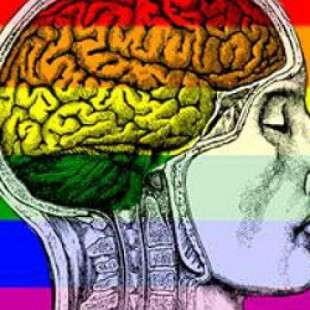 ¿Qué dice la ciencia sobre la orientación sexual?