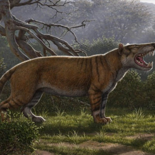Fósiles de un "león" enorme más grande que un oso polar descubierto en Kenia (ING)