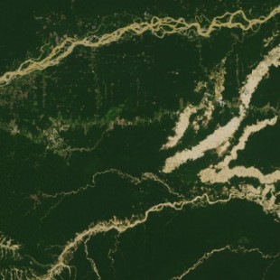 Seguimiento de la pérdida de bosques peruanos desde el espacio (ING)