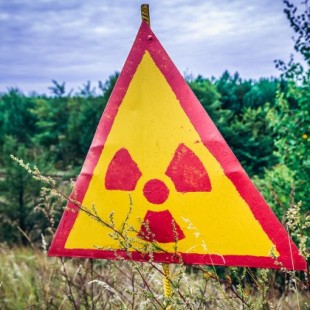 Los drones encuentran 'puntos calientes' de radiación inesperados en un bosque cerca de Chernobyl  [ ing ]