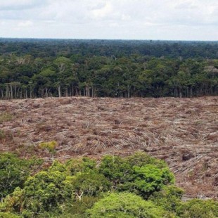 Jair Bolsonaro extermina el Amazonas: 1,3 millones de hectáreas taladas en 2018