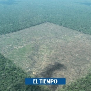 Desde el espacio, se observa mejoría de deforestación en Sudamérica