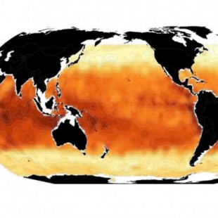El primer mapa global de distribución de fitoplancton desafía teorías (ING)