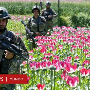 Por qué Estados Unidos perdió la guerra contra el opio en Afganistán tras gastar US$1.500 millones