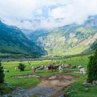 La obesidad crece más rápido en las zonas rurales que en las ciudades