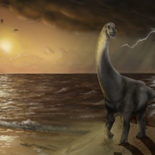 ‘Oceanotitan’, un nuevo dinosaurio del Jurásico Superior de Portugal