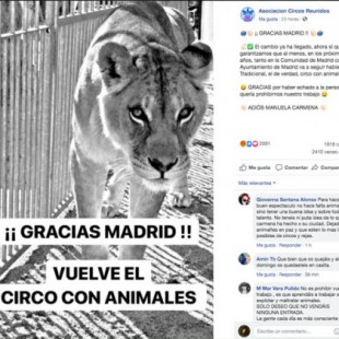 “¡Gracias, Madrid! Vuelve el circo con animales”