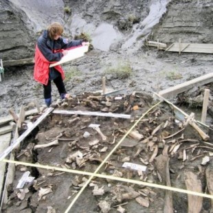 Descubren un nuevo grupo humano que vivió en Siberia en la Edad de Hielo