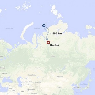 Un oso polar hambriento llega a Norilsk industrial después de caminar 1.500 km tierra adentro en busca de alimento (ING)