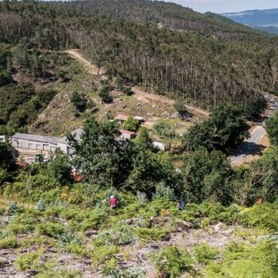 Galicia se destiñe: siete décadas de errores en la gestión forestal