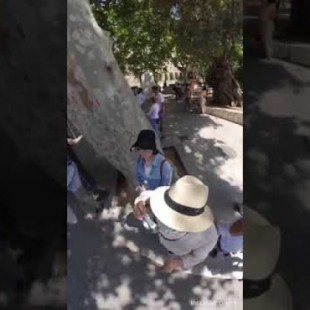 Turistas graban sin querer con una cámara 360 como unos carteristas les roban