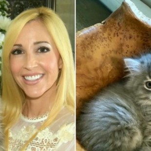 Una pareja pagó 25.000 dólares para clonar a su gato