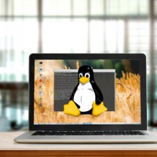Linux supera a Windows incluso en la nube de Microsoft