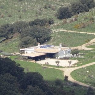 Pretenden construir una mansión de 800 m2 en pleno Parque Natural Sierra de Grazalema