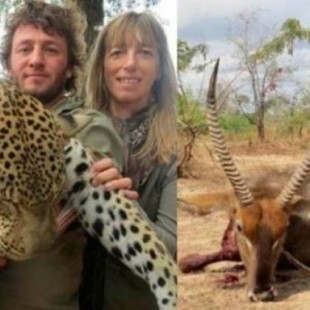 Pierden sus trabajos tras cazar en África