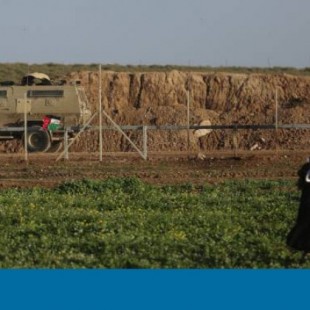 La ‘guerra herbicida’ de Israel arrasa cultivos en Gaza