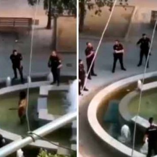 La policía nacional desarma de esta manera a un hombre con un machete en Madrid