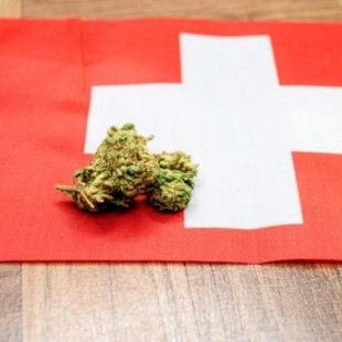 Suiza: el poder judicial ha establecido la despenalización total del Cannabis para todos los ciudadanos