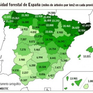 De Gerona a Las Palmas: las provincias con más y menos árboles de España