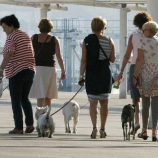 Foro pide cobrar una tasa de diez euros al año por cada perro censado en Gijón