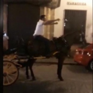 Una yegua se desploma en una calle de Sevilla y varios testigos se enfrentan al cochero