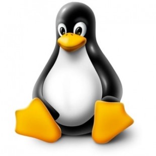 LKML: buenas noticias, Linux 5.3 rc-4 ya está disponible