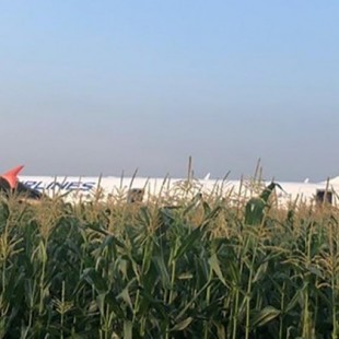 Milagroso aterrizaje de emergencia en un campo de maíz cerca de Moscú