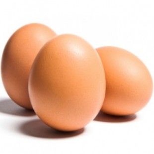 No preguntes cuántas calorías o grasa tiene un huevo. Pregunta por su saciedad, termogénesis y particionamiento