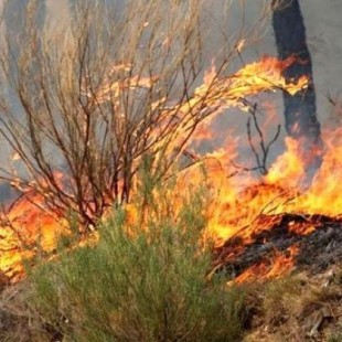 La Guardia Civil detiene a nueve personas por provocar 11 incendios en León y cinco provincias más