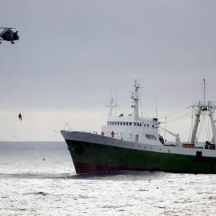 Los científicos anuncian que el bacalao del Mar del Norte ha colapsado