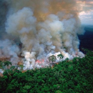 Satélites de la NASA muestran como arde la Amazonia