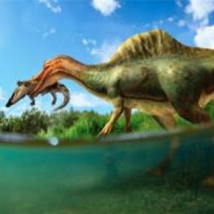 Hallan el primer dinosaurio espinosáurido de la península ibérica