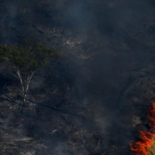 Siete claves para entender qué se quema en la Amazonia y la magnitud del drama ambiental