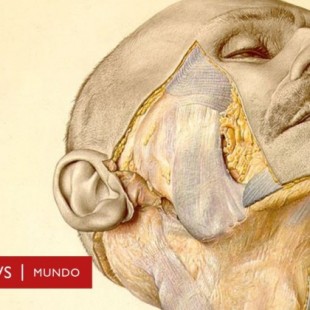 Eduard Pernkopf: el libro de anatomía nazi que los cirujanos todavía usan