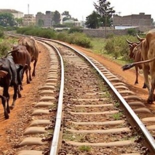 El plan expansionista de China en África hace realidad la conexión por carretera y por tren de sus costas este y oeste