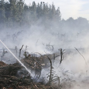 Detenido un lucense que formó parte de un retén de extinción como presunto autor de seis incendios forestales