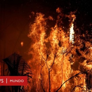 Incendio en el Amazonas: por qué Noruega donó US$1.200 millones a Brasil durante 10 años y dejó de hacerlo justo antes